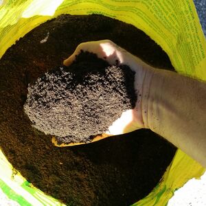 Biozyklische Humuserde Eine Hand voll Biozyklische Humuserde
